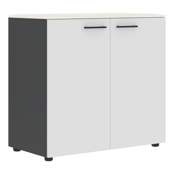 Шкаф с глухими дверьми и топом JLC 85.1 856х452х814 JAY в Ноябрьске 