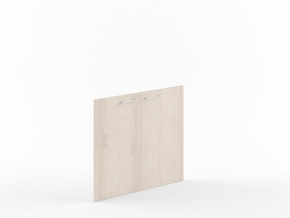 Двери низкие XLD 42-2 846х18х765 XTEN в Ноябрьске 